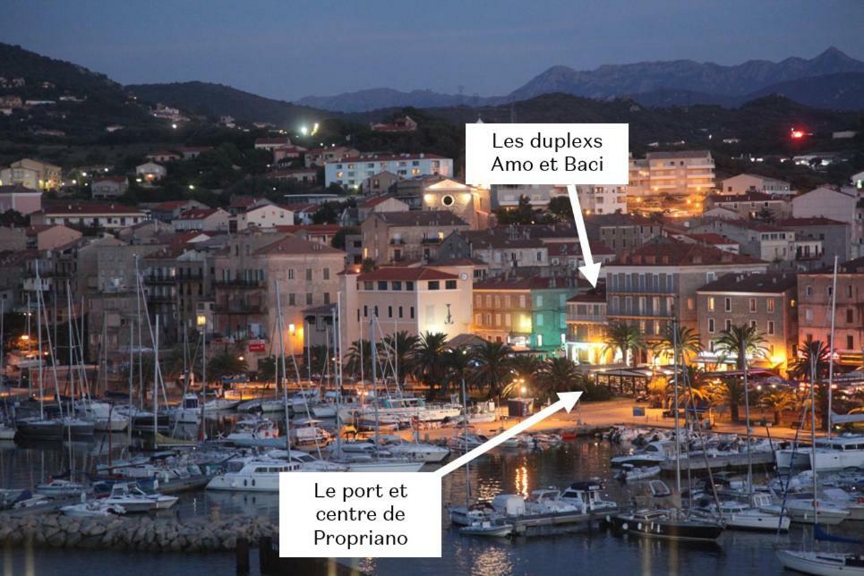 Apartamento Duplex En Plein Centre Propriano  Exterior foto